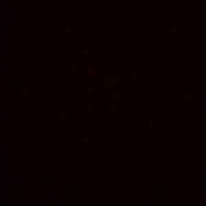 Meet your Posher, Ernesta